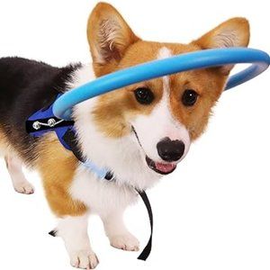 Halo Dog Safety Bumper Harness Blind Deaf Senior Hospice Pet Love Care Walk Pug